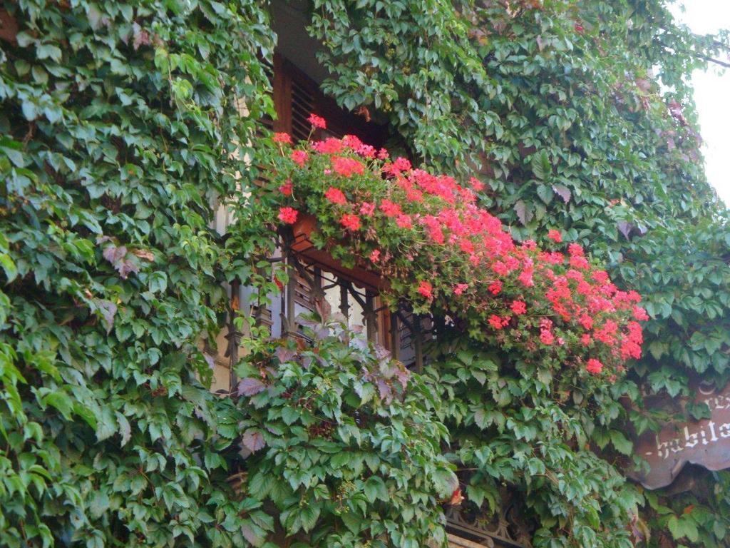 Hotel Casa Frauca Сарвисе Экстерьер фото